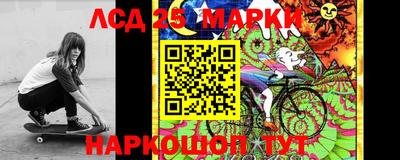кокс Кандалакша