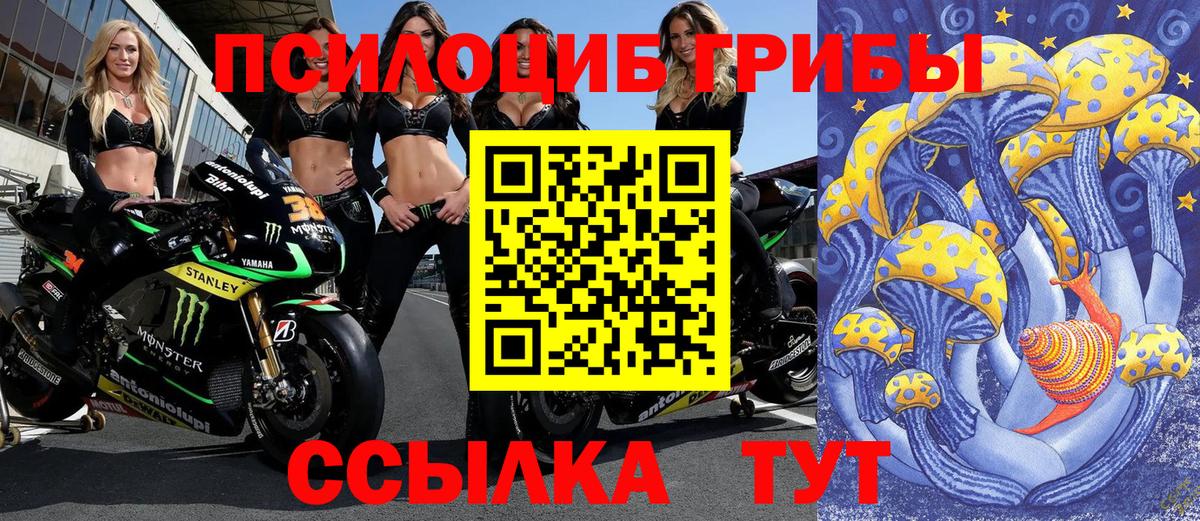 Галлюциногенные грибы Magic Shrooms  Вход с VPN  цена   Людиново 