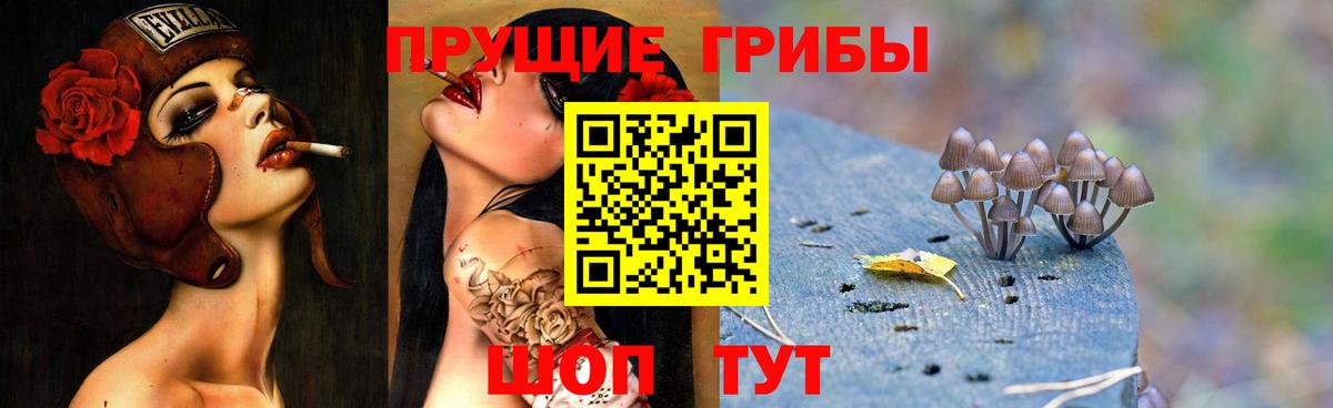 Псилоцибиновые грибы MAGIC MUSHROOMS Людиново