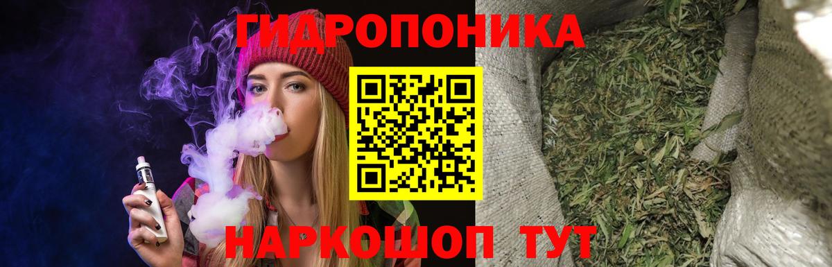 Бошки Шишки семена Людиново